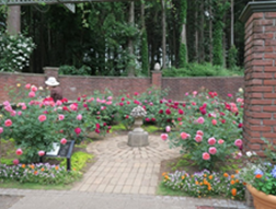 写真：七ツ洞公園秘密の花苑