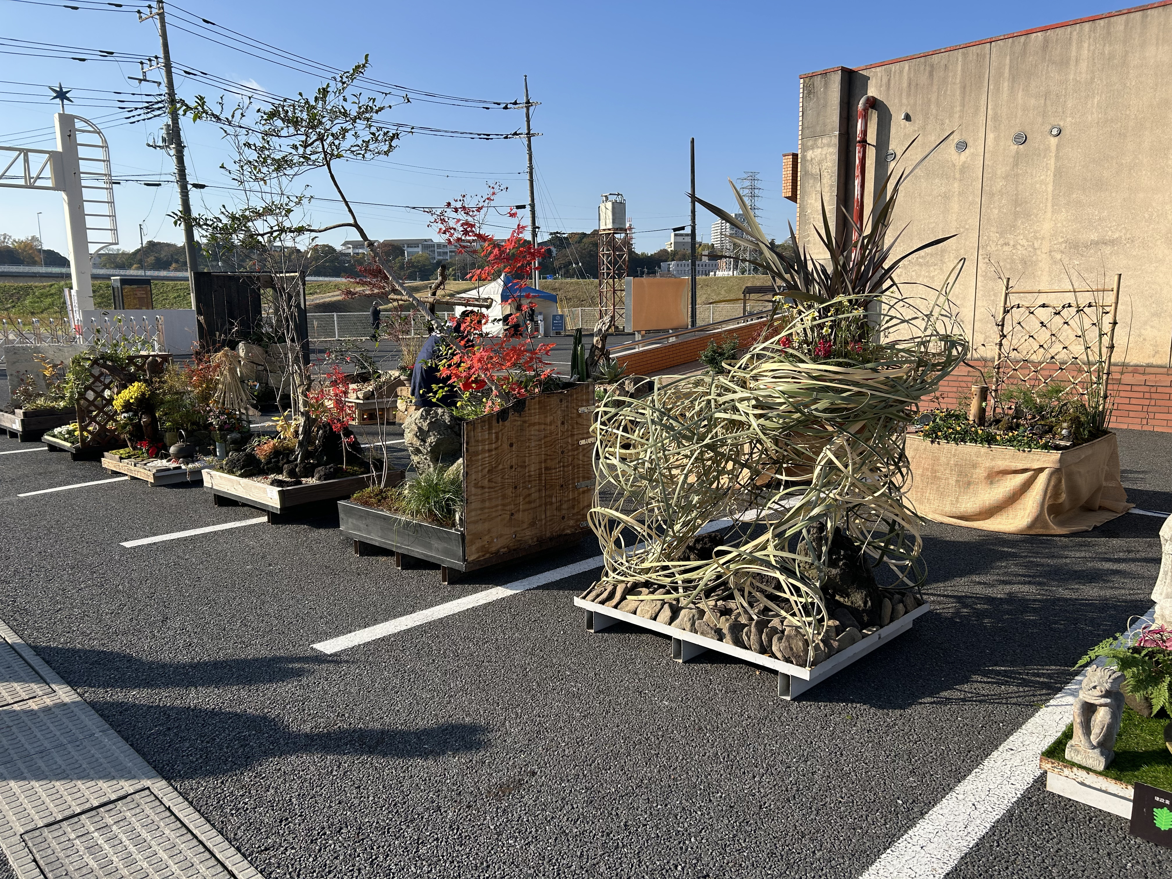 小田原文化財団江之浦測候所