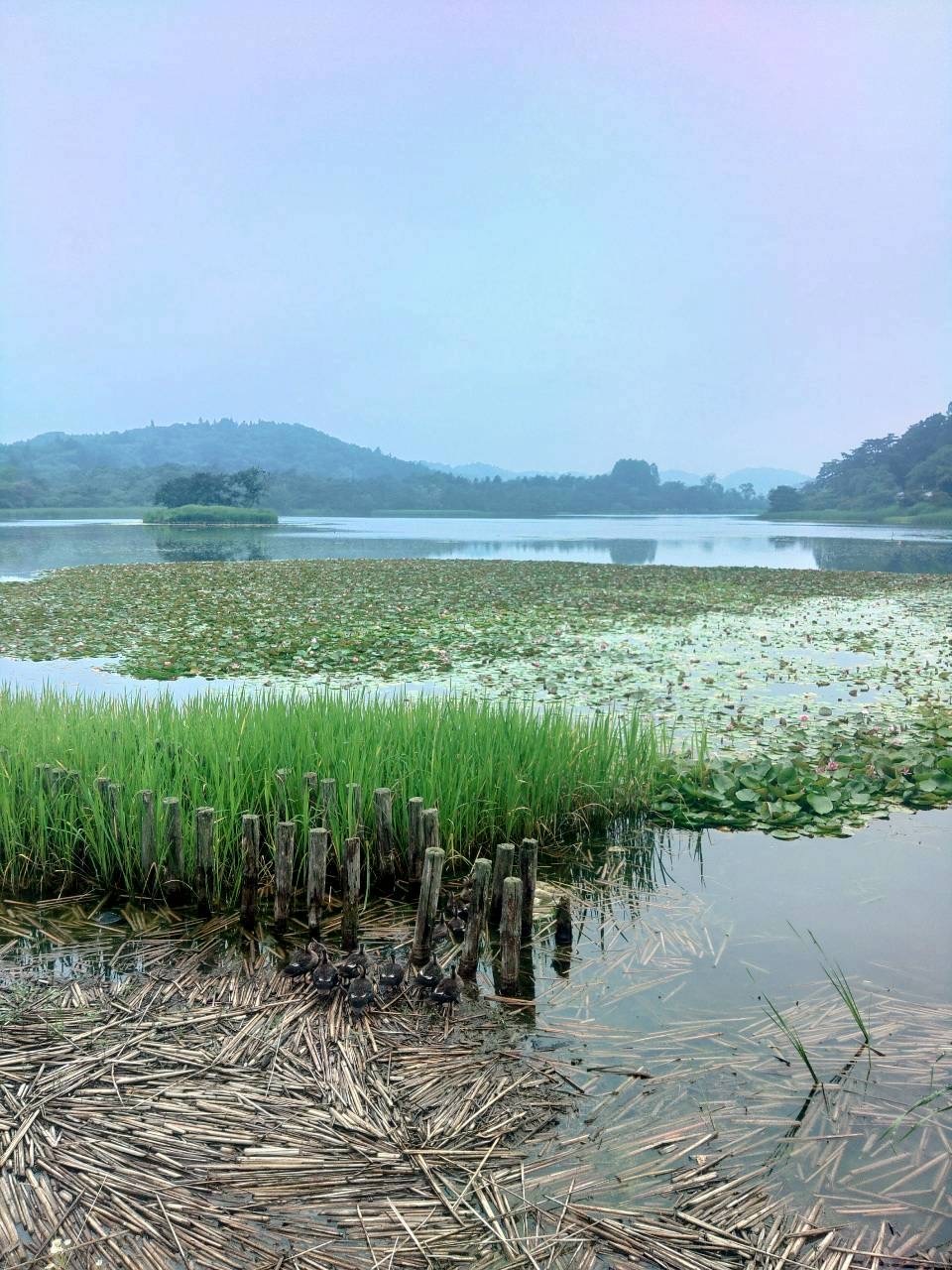 翠楽園